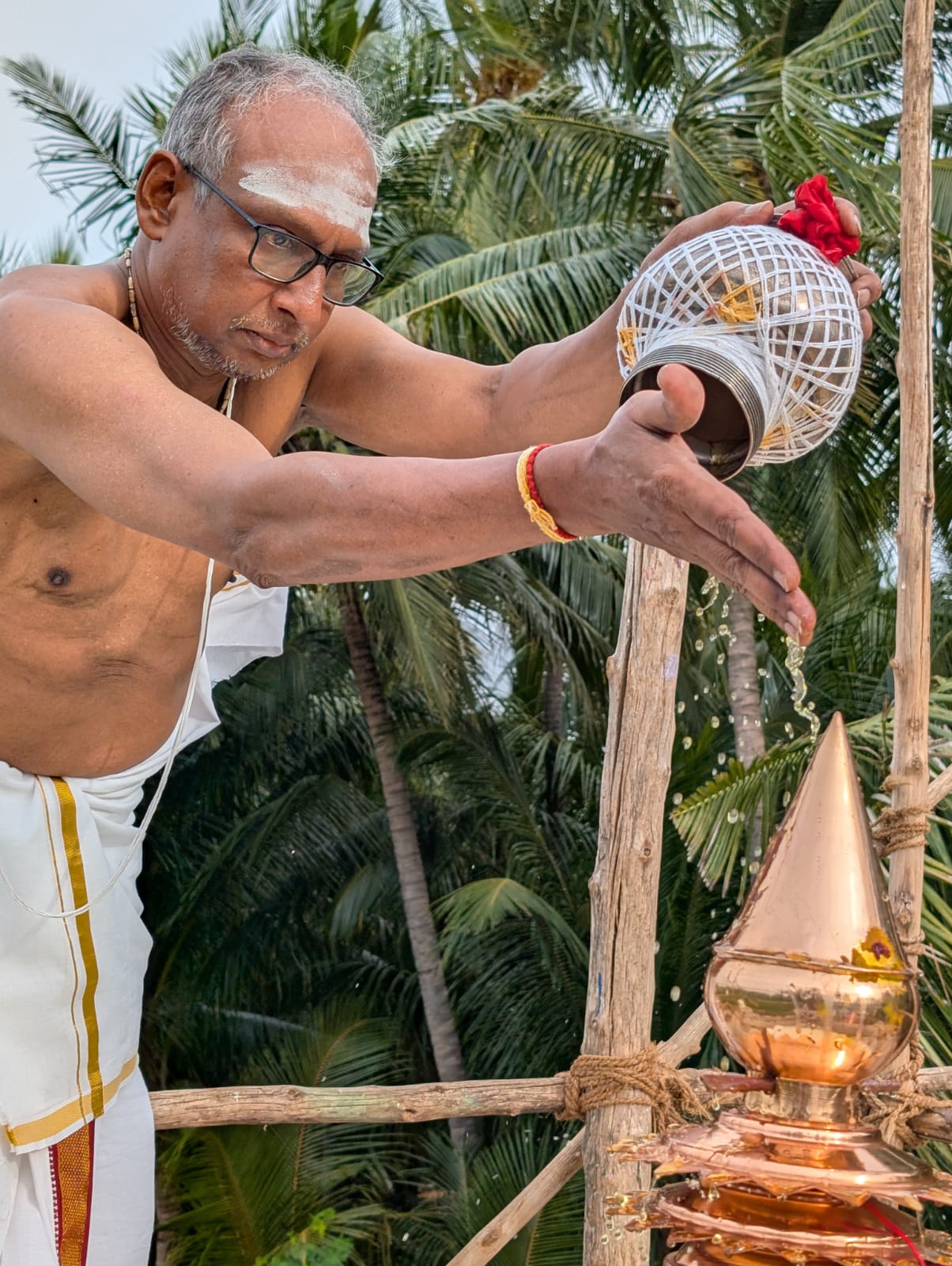 கேலரி படம் 2