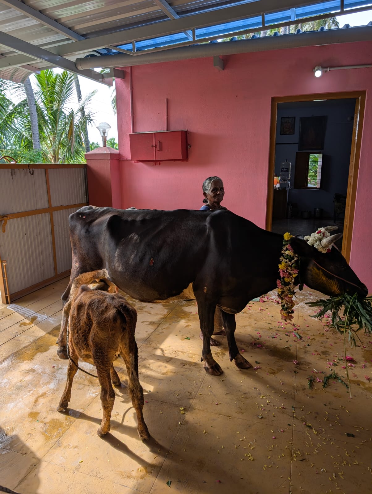 கேலரி படம் 5