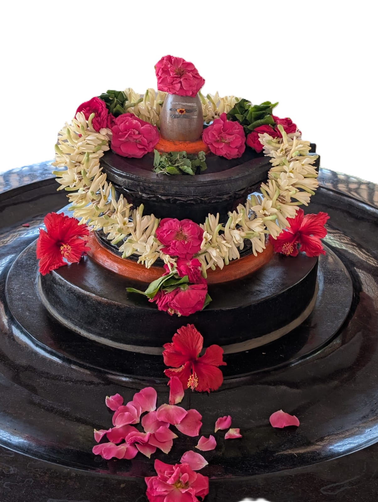 Brahme Bhutha Sri Vaidyanatha Swami Trust